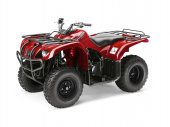 2011 Yamaha Big Bear 250 photo